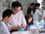 這20家獨(dú)角獸公司給程序員年薪最高：11萬(wàn)美元起步