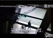 騎小米九號(hào)平衡車摔骨折：網(wǎng)友曝實(shí)拍視頻真相