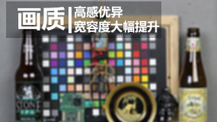 畫質速度兼具 佳能EOS-1DX Mark II評測 