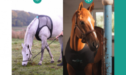 Equisense Care是名副其實的馬甲：專為馬設(shè)計的可穿戴設(shè)備