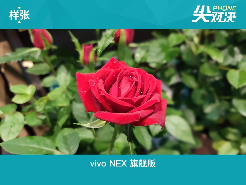 vivo NEX和iPhone X哪個(gè)好 蘋果iPhoneX對比vivoNex區(qū)別
