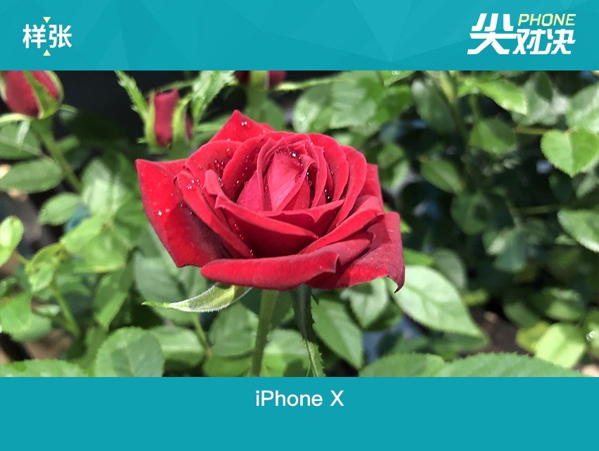 vivo NEX和iPhone X哪個(gè)好 蘋果iPhoneX對比vivoNex區(qū)別
