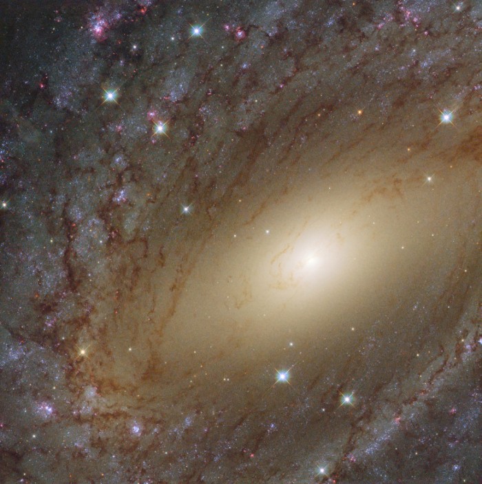 哈勃望遠(yuǎn)鏡拍攝仍在增長(zhǎng)的巨大近鄰星系的照片