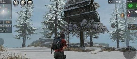 白樹高地奇遇任務(wù)NPC刷新時(shí)間地點(diǎn)大全 明日之后白樹高地NPC位置