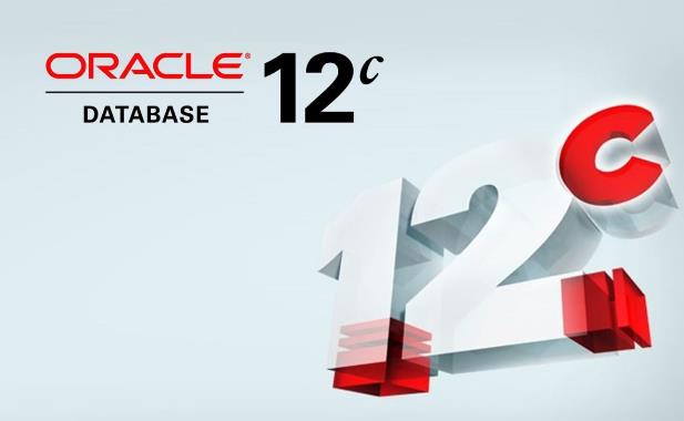 Oracle數(shù)據(jù)庫多條sql執(zhí)行語句出現(xiàn)錯誤時的控制方式